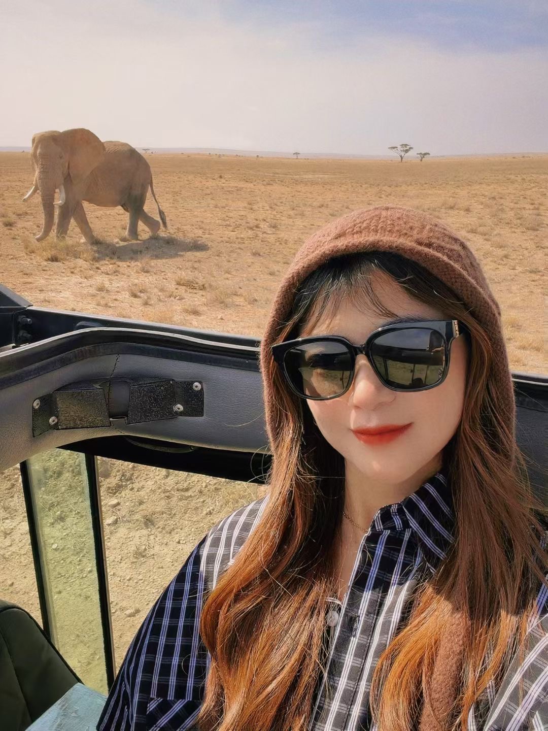 Serengeti National Park wildlife experience on a northern Tanzania safari