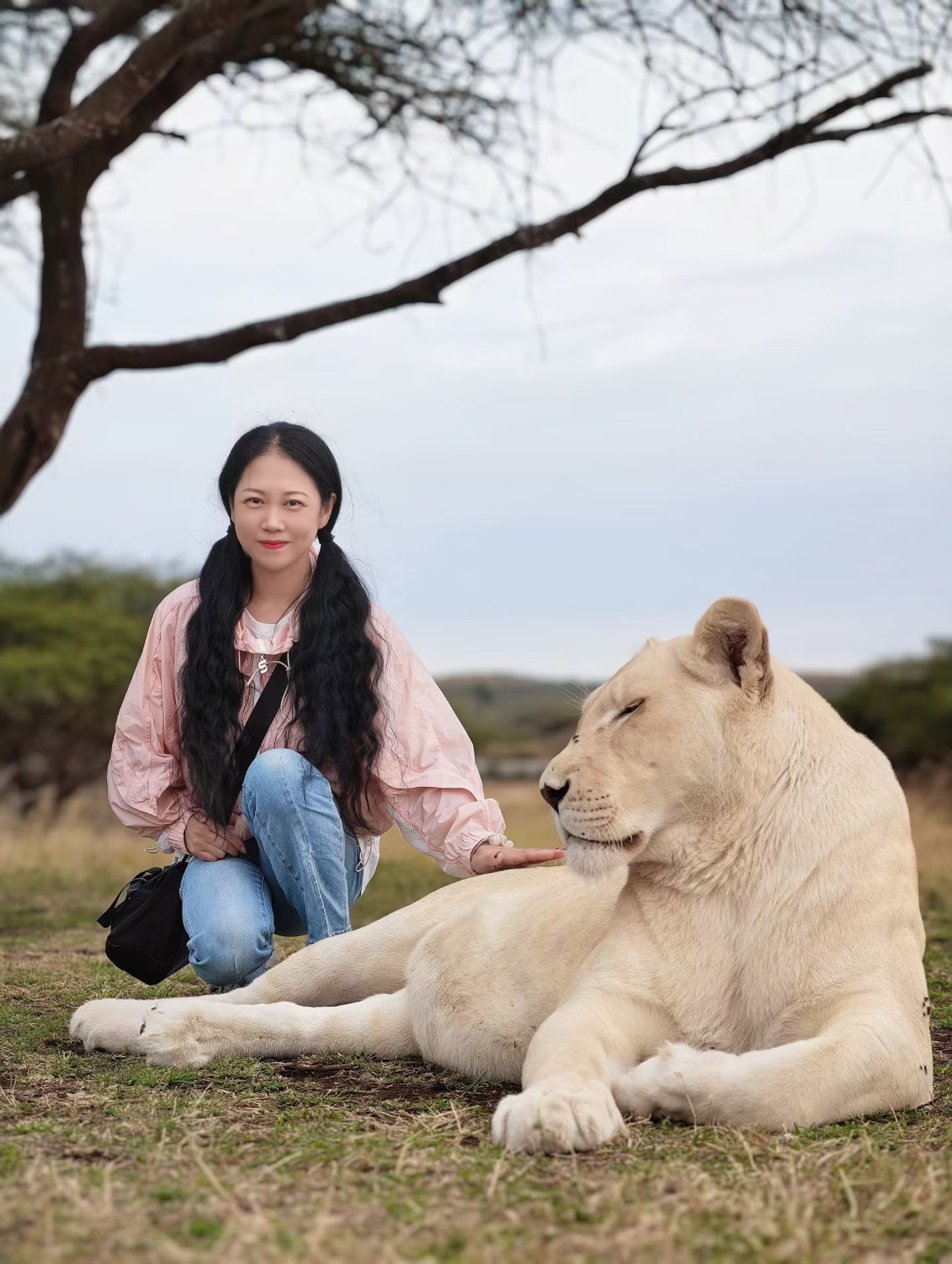 Southern Tanzania safari experience from Dar es Salaam