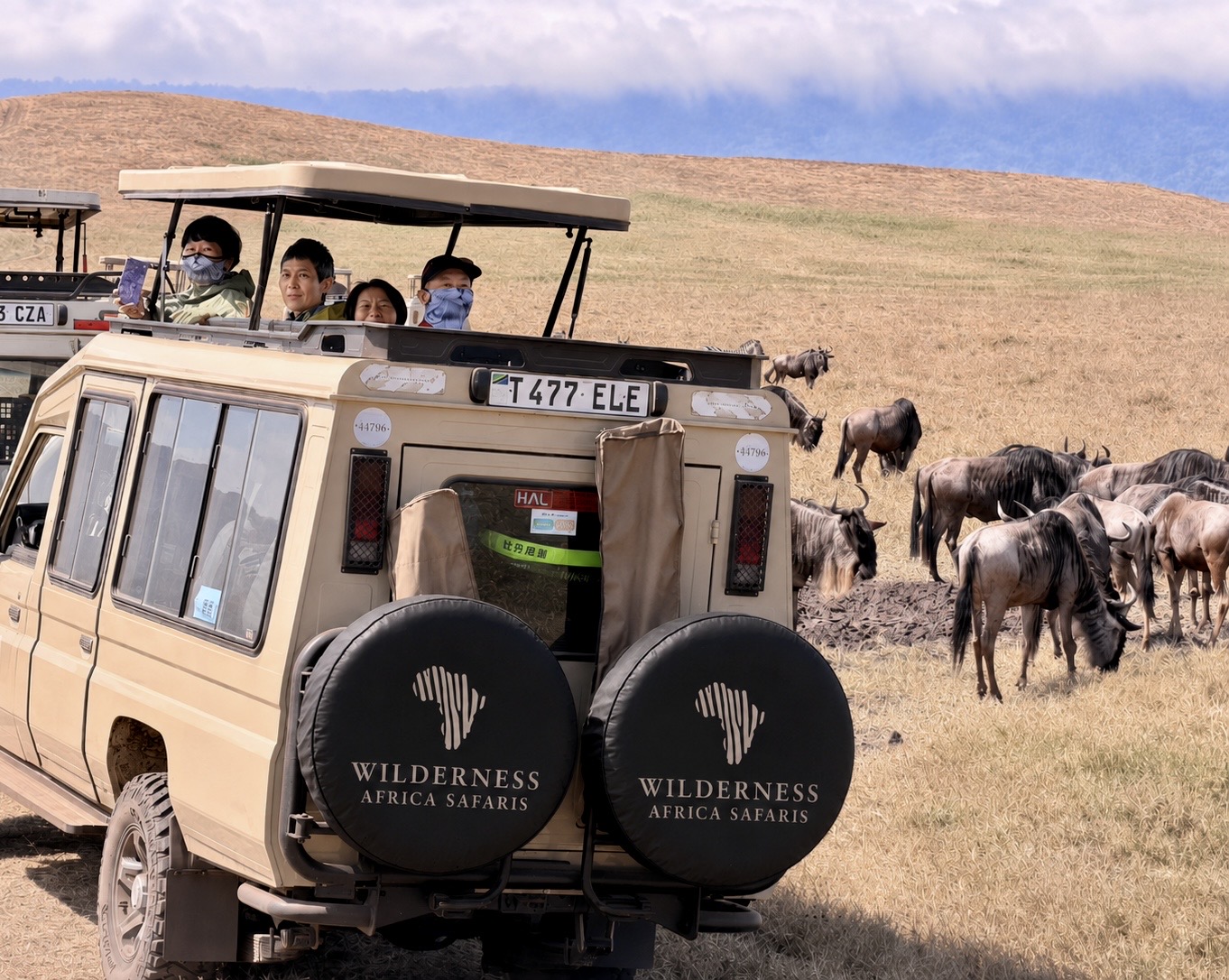 Wildlife safari in Southern Tanzania's Mikumi National Park