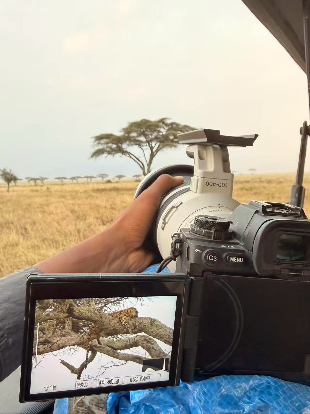 Tanzania safari wildlife experience with Wilderness Africa Safaris
